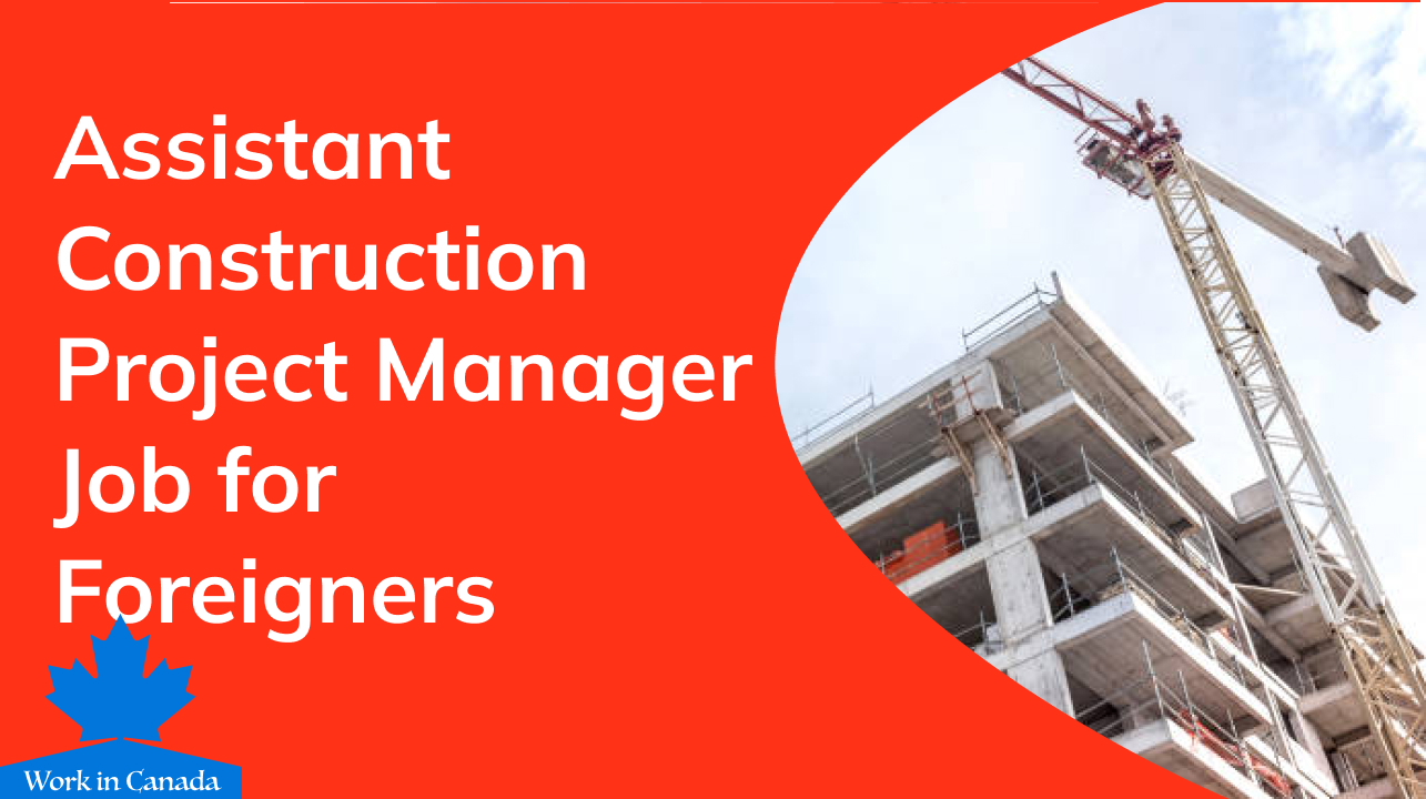 assistant construction project manager job for foreigners